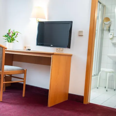 Land-gut-hotel Landhotel - Gasthof Zwoschwitz Отель 3*