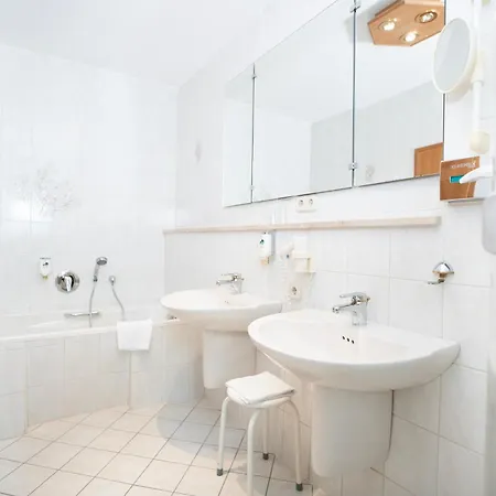 Land-gut-hotel Landhotel - Gasthof Zwoschwitz 3*